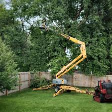 Best Hazardous Tree Removal  in Sultan, WA